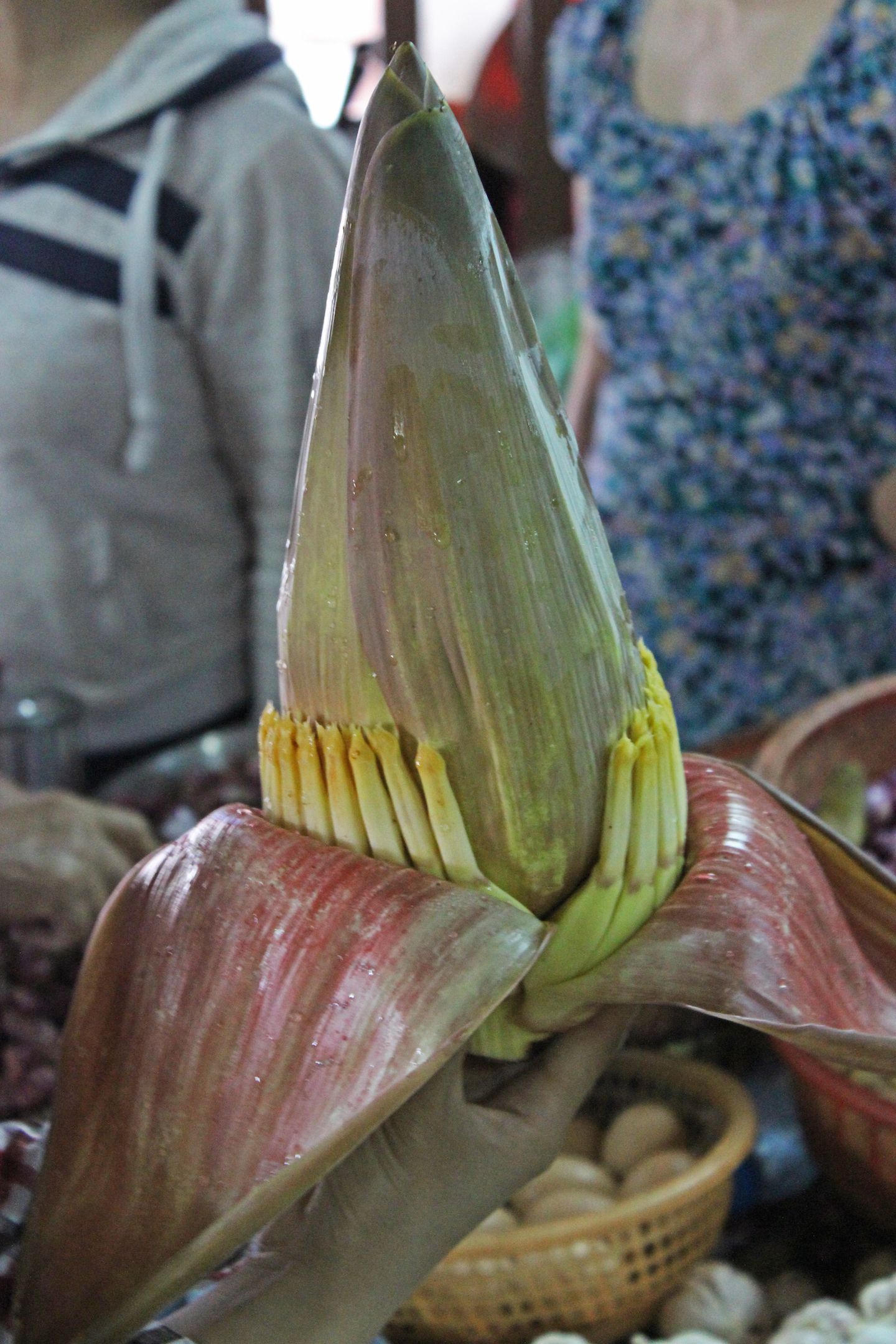 Banana flower