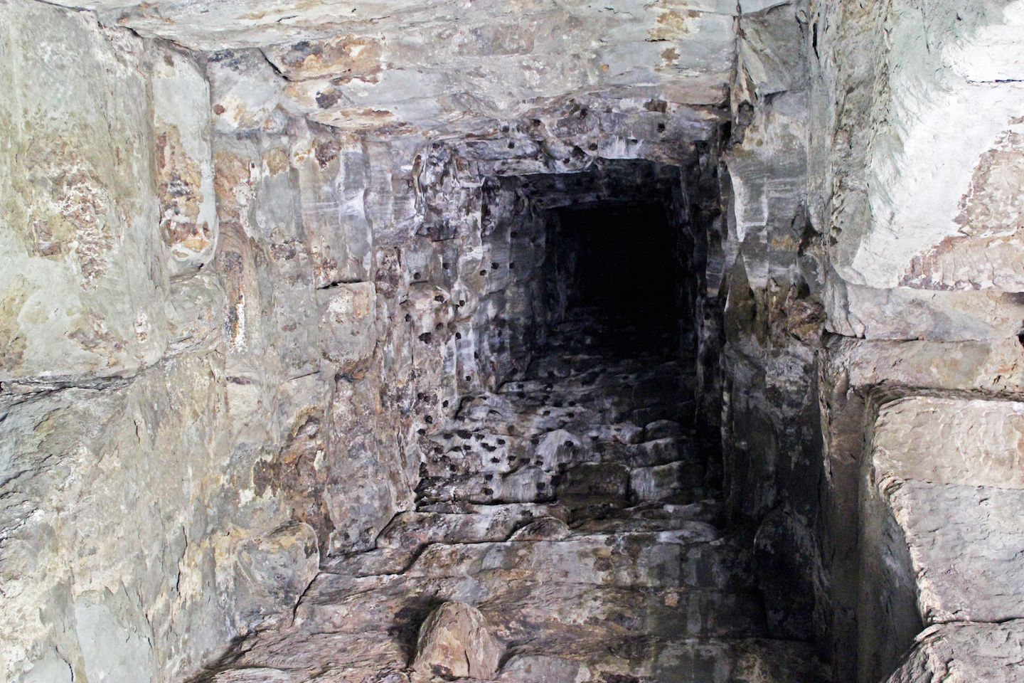Bats living inside the prang at Angkor Wat