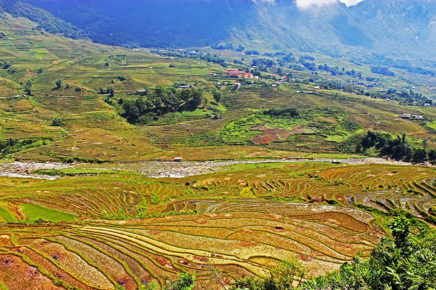 Beautiful landscape
