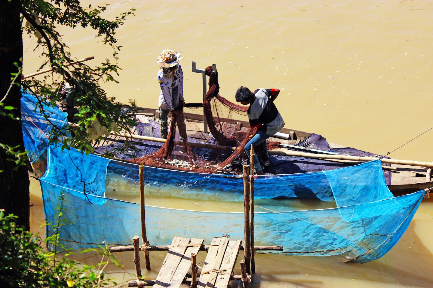 Boat unloading the catch into the net