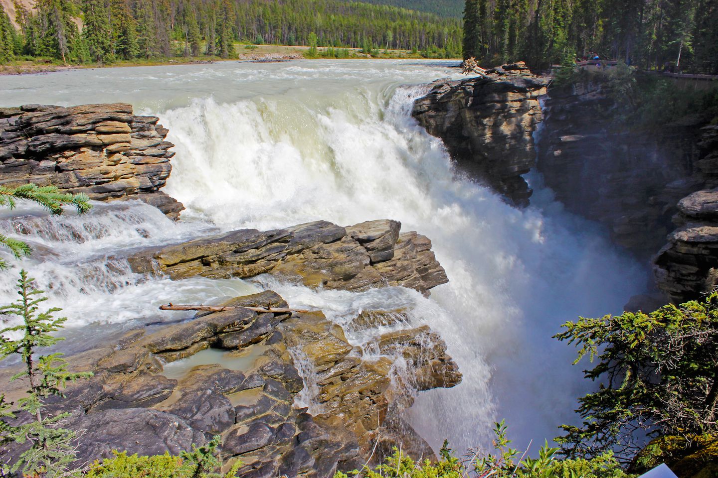 View of the Athabasca Falls.