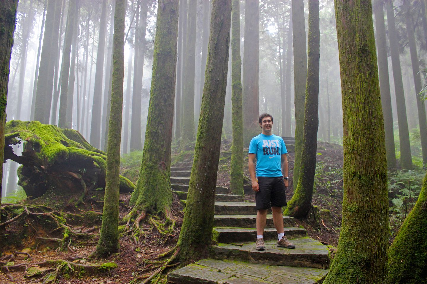 Carlos among Giant Red Cypress Trees