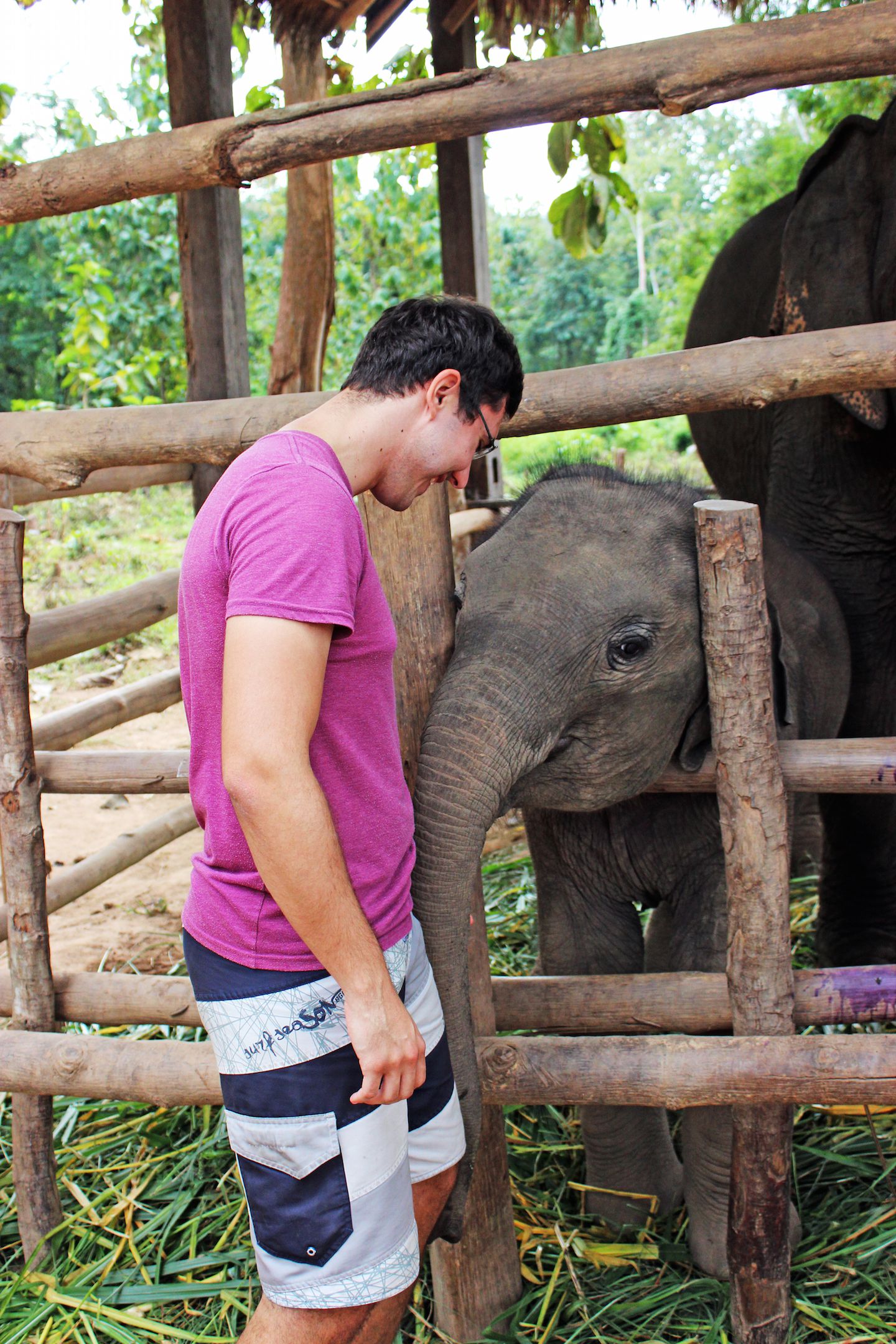 Carlos and Maxi at the Elephant Village, Luang Prabang, Laos