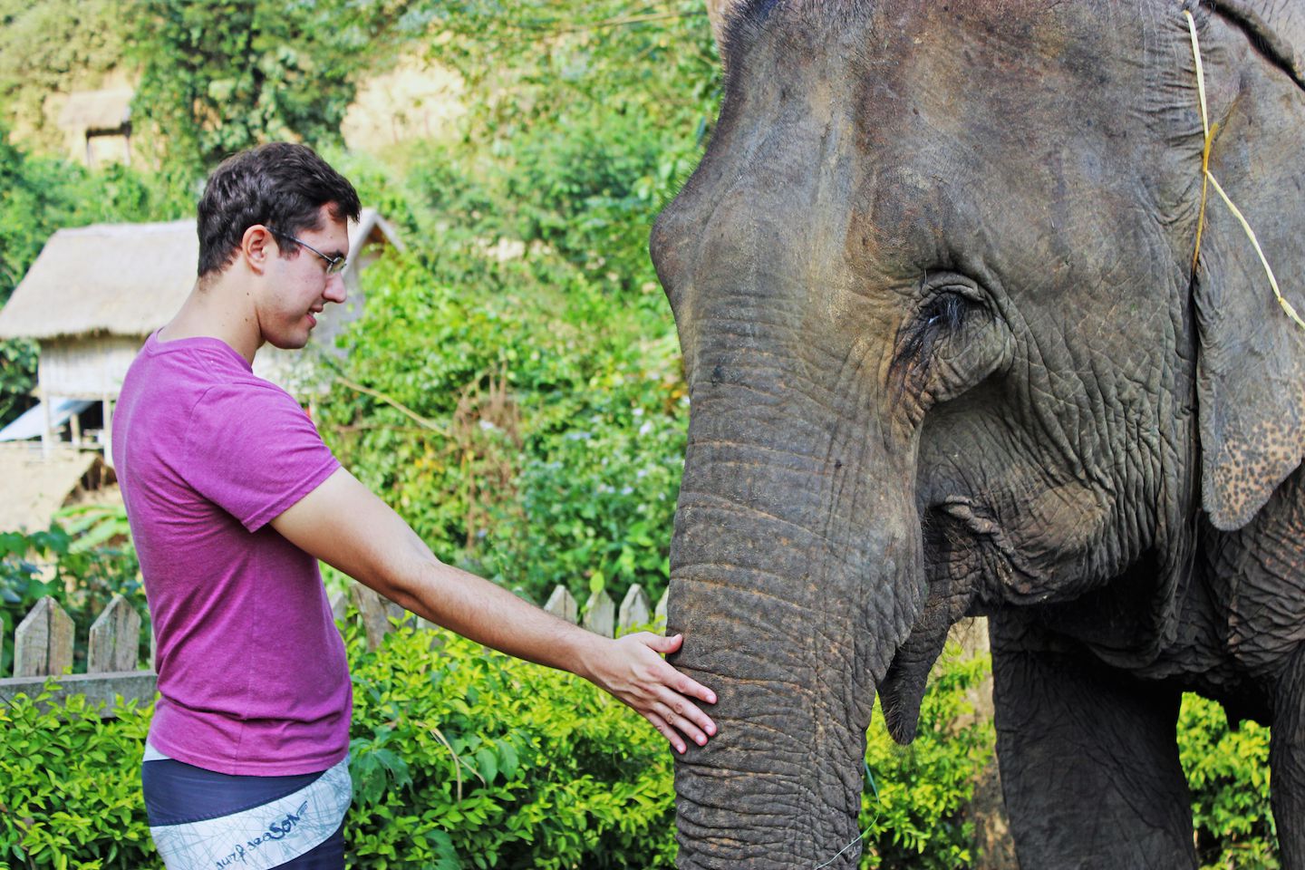 Carlos and the elephant at the Elephant Village, Luang Prabang, Laos