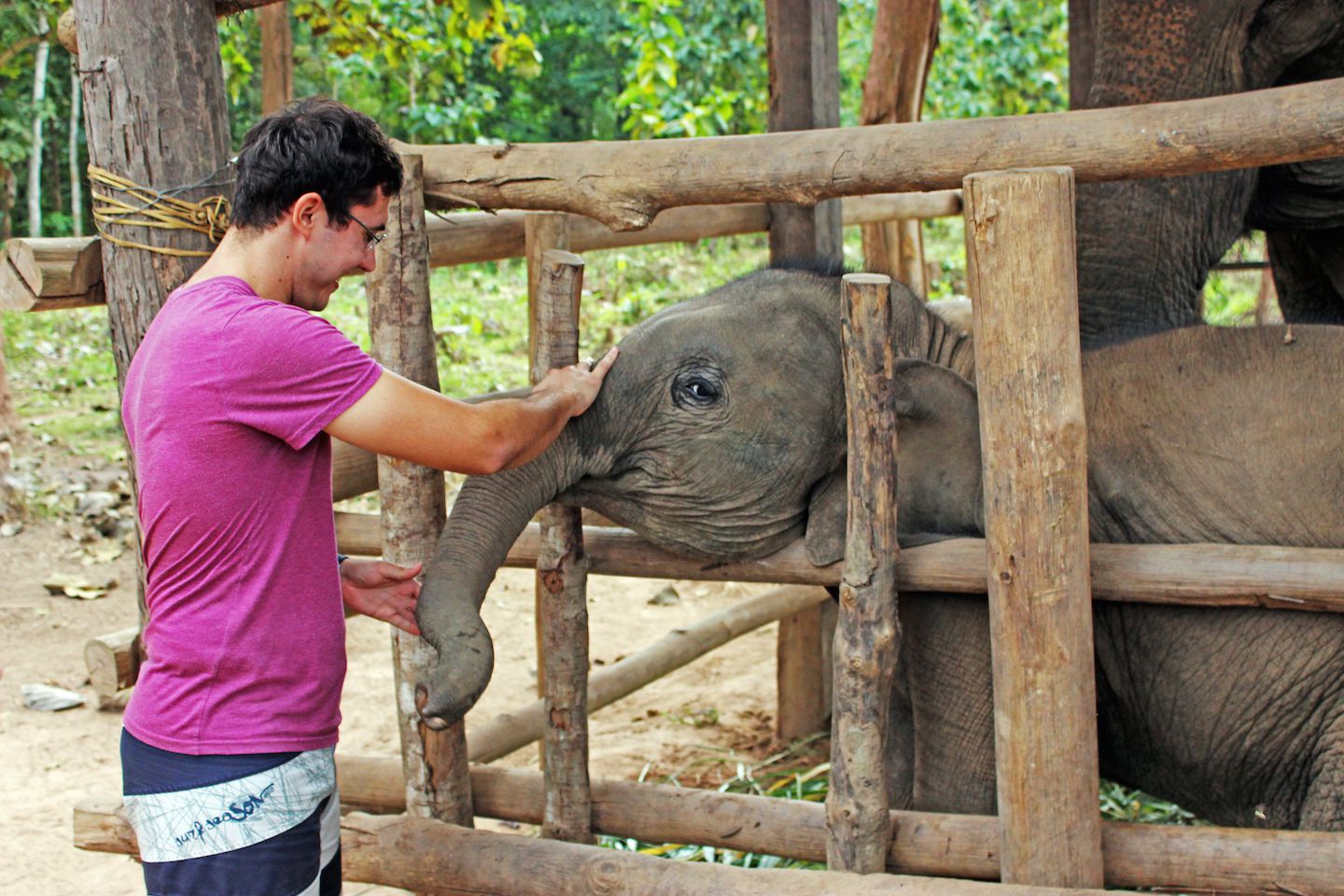 Carlos caressing Maxi at the Elephant Village, Luang Prabang, Laos