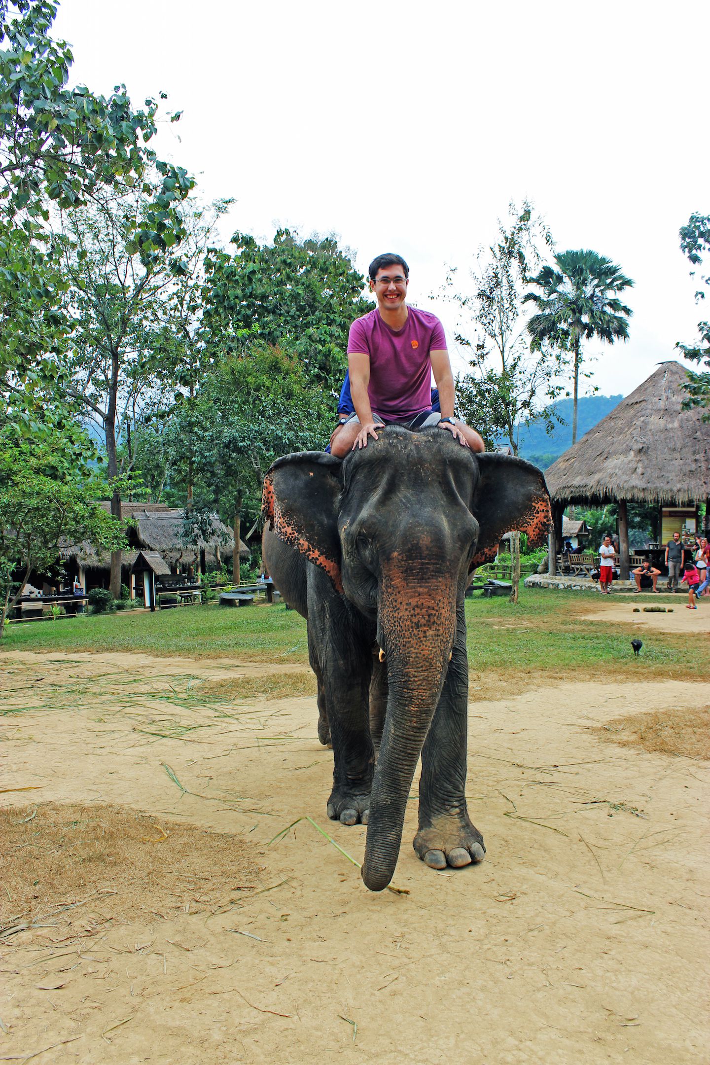 Carlos learning how to ride an elephant at the Elephant Village in Luang Prabang, Laos