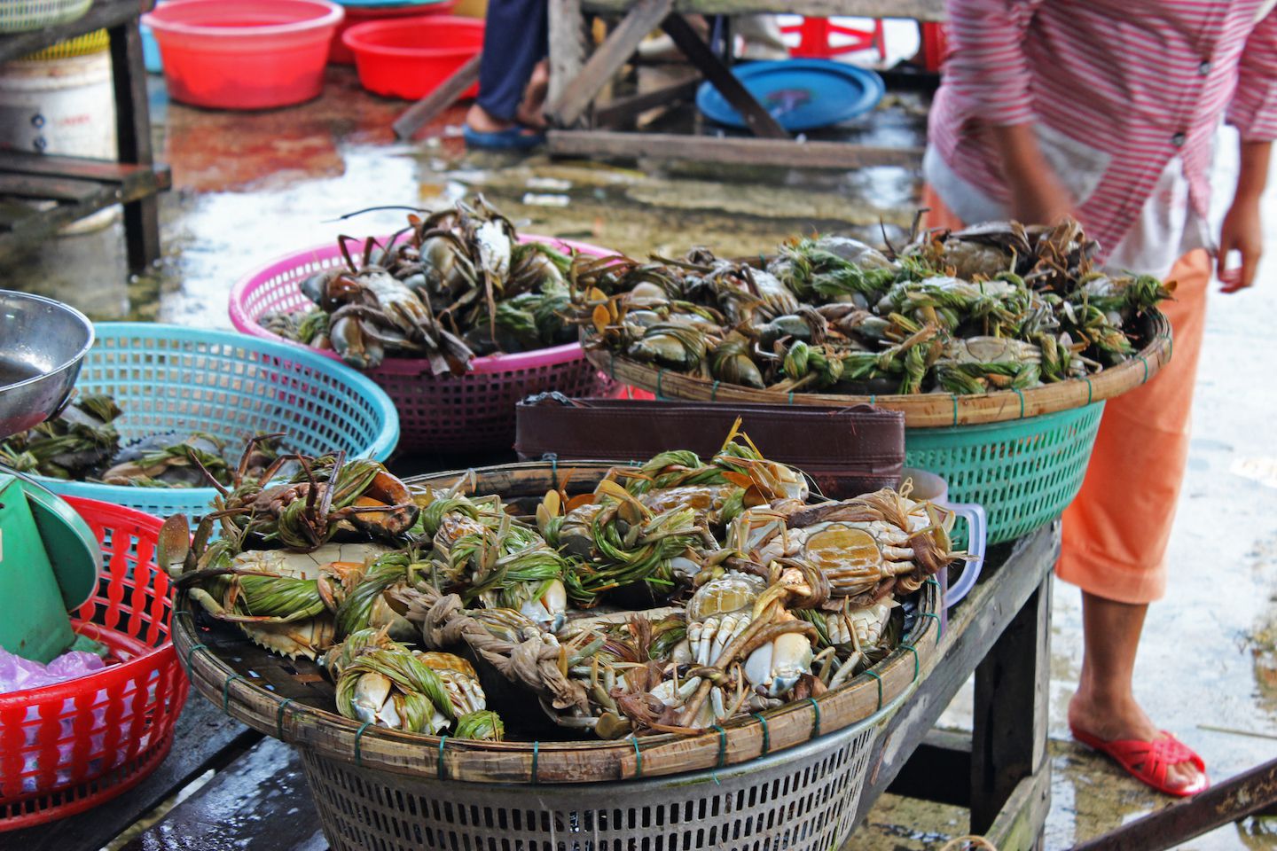 Crabs