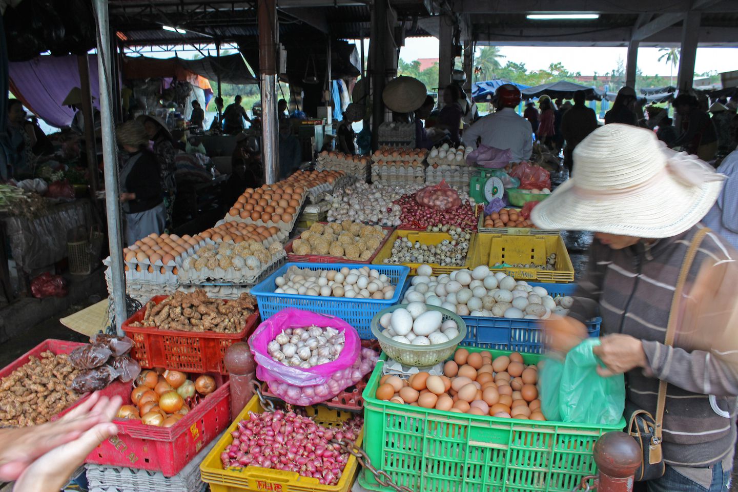 Different types of eggs