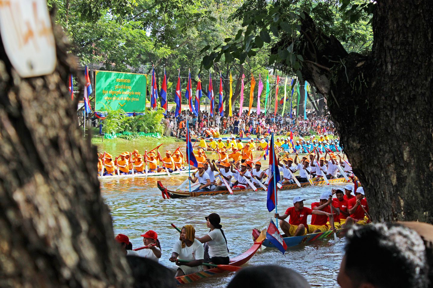Dragon boats rowing upstream