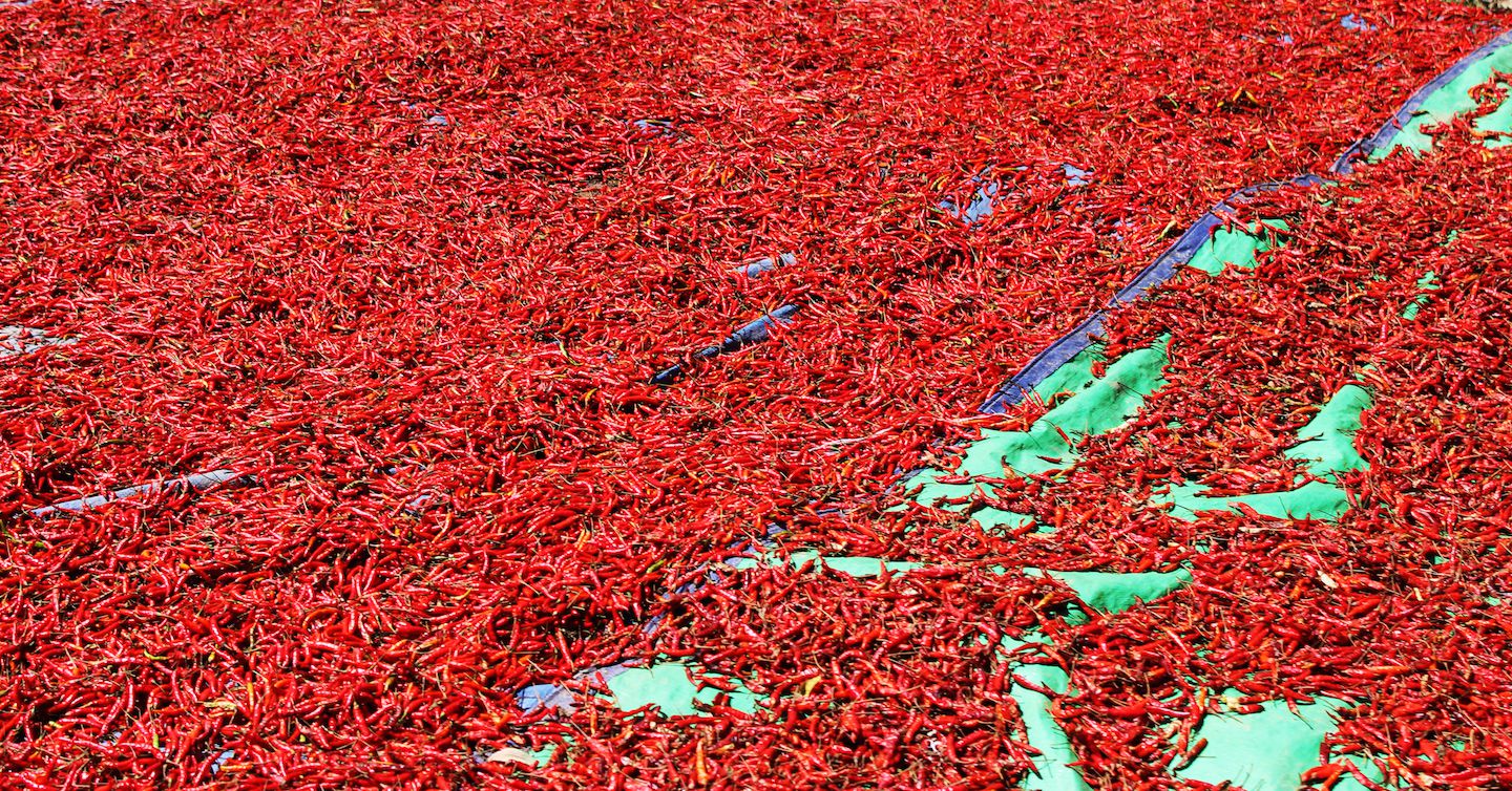 Dried chili