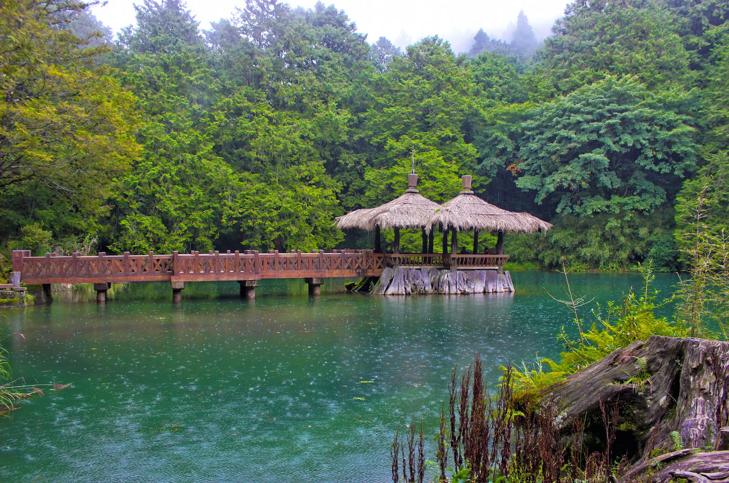 Elder Sister Pond
