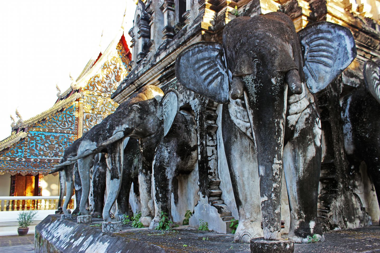 Elephant statues at Wat Chiang Man in Chiang Mai