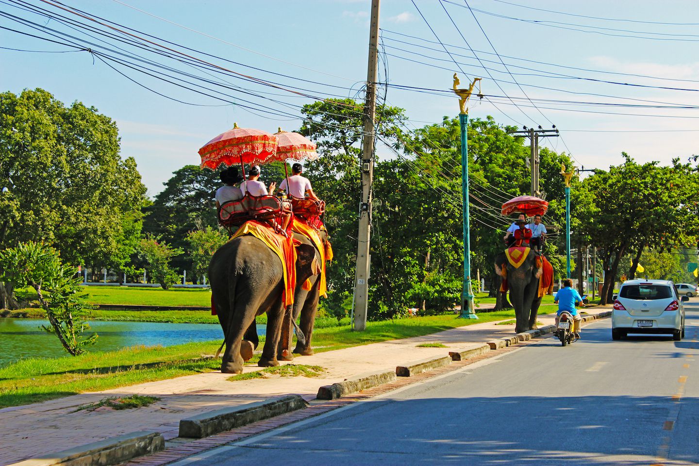 Elephants on the streets