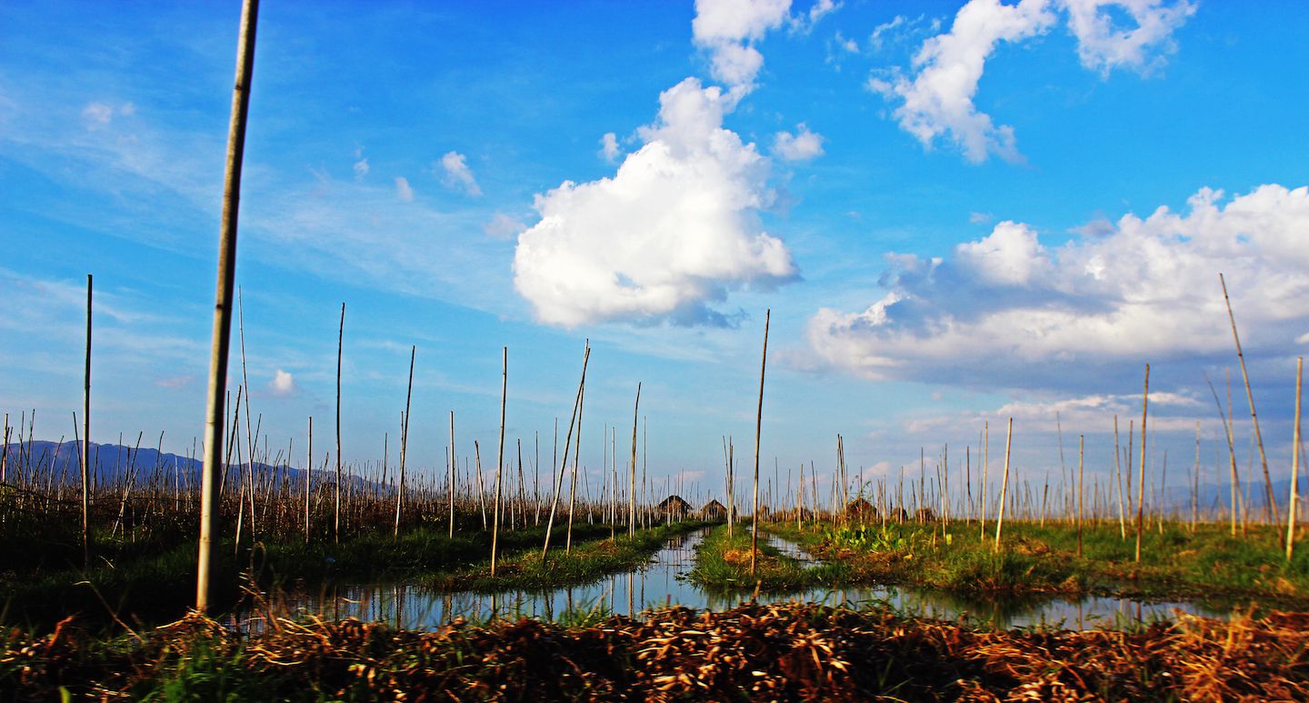 Floating gardens at Inle Lake, Myanmar