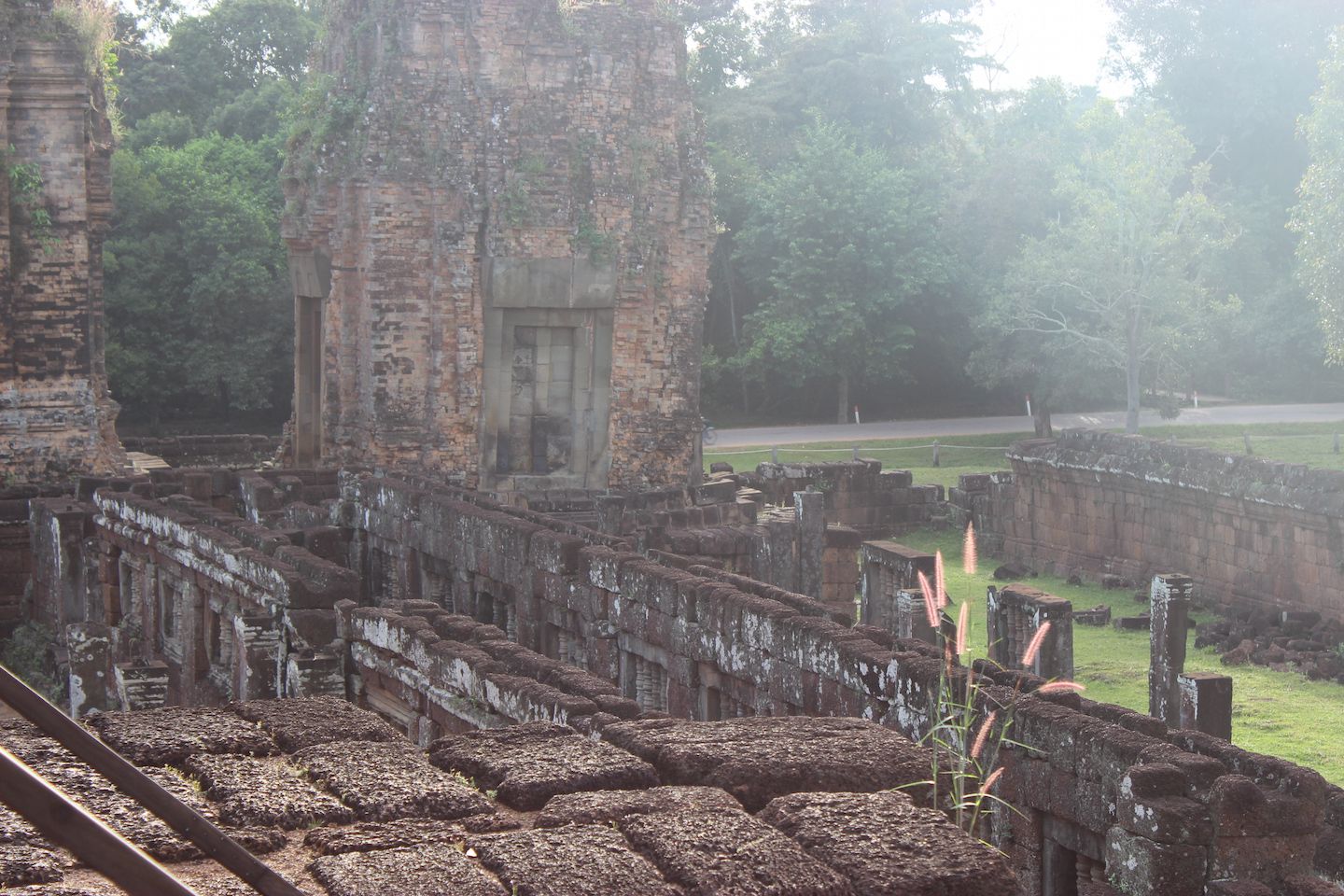 Flower growing on the ruins of Pre Rup