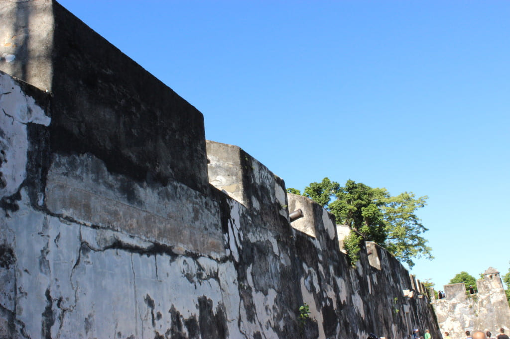 View of the cannons at Fortaleza do Monte.