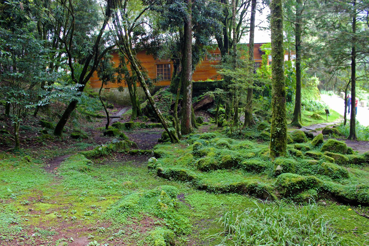 Green everywhere!