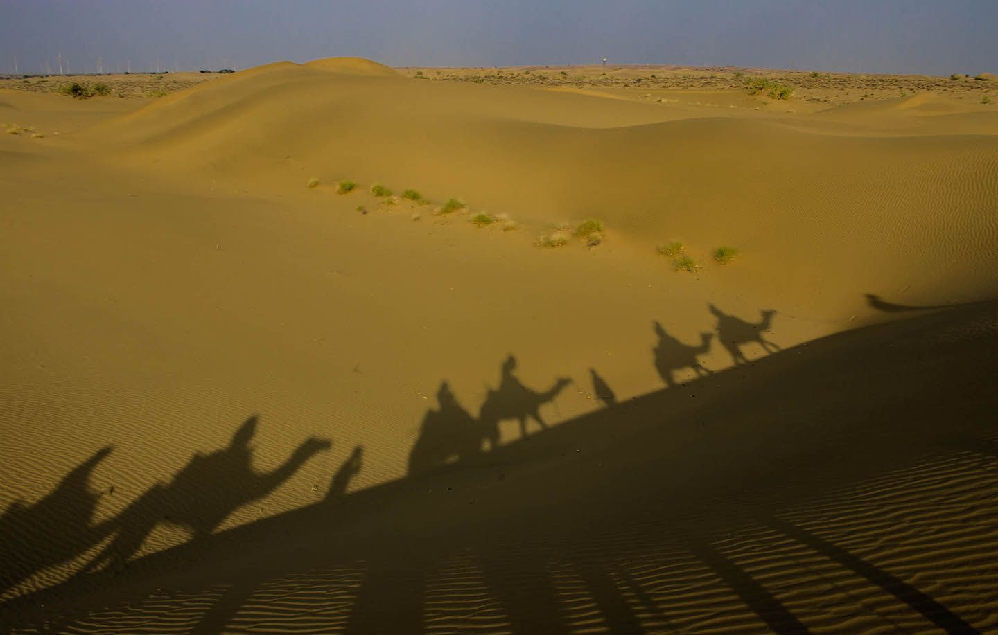 Our caravan crossing the Thar Desert, Jaisalmer, India