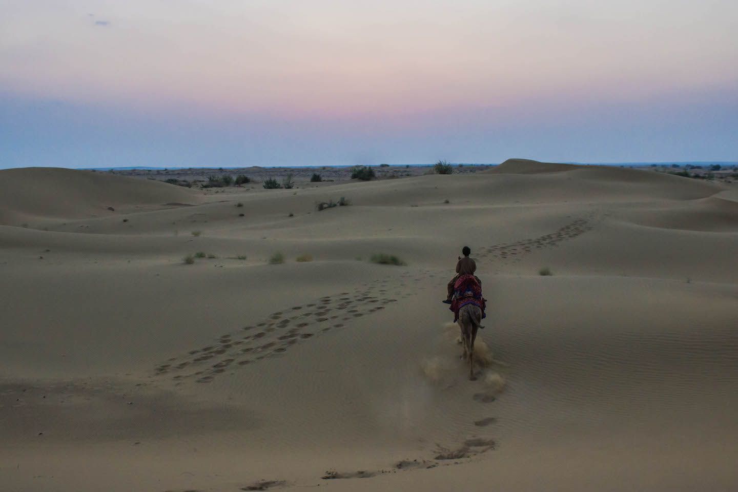 Camel rider in the Thar Desert, Jaisalmer, India