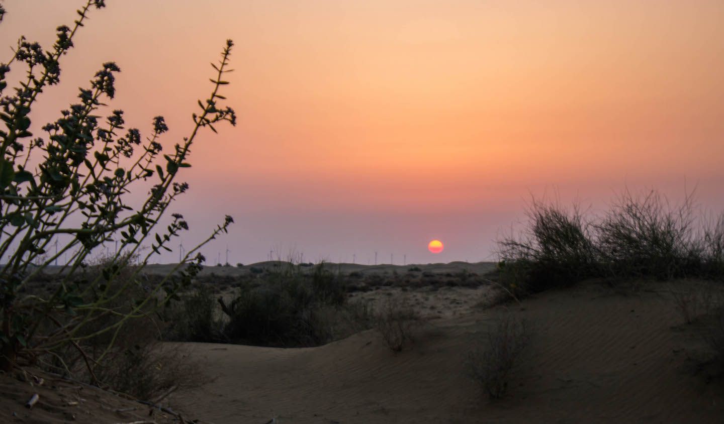 Sunrise over the sand dunes of the Thar Desert, Jaisalmer, India