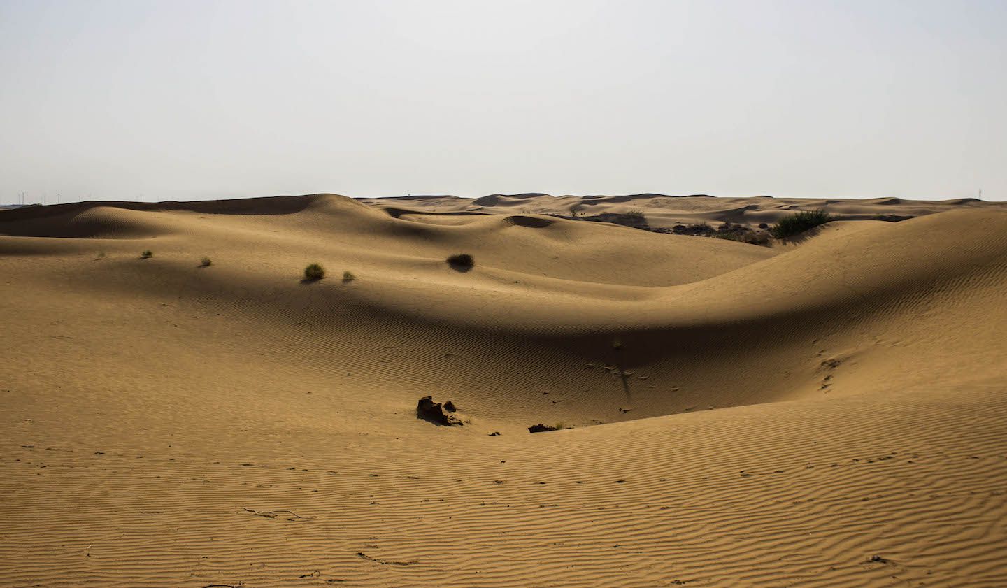 Panoramic view of the sand dunes of the Thar Desert, Jaisalmer, India
