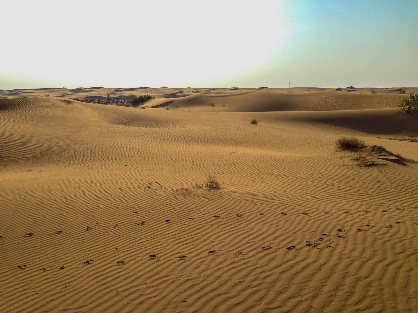 Sand dunes in the Thar Desert, Jaisalmer, India
