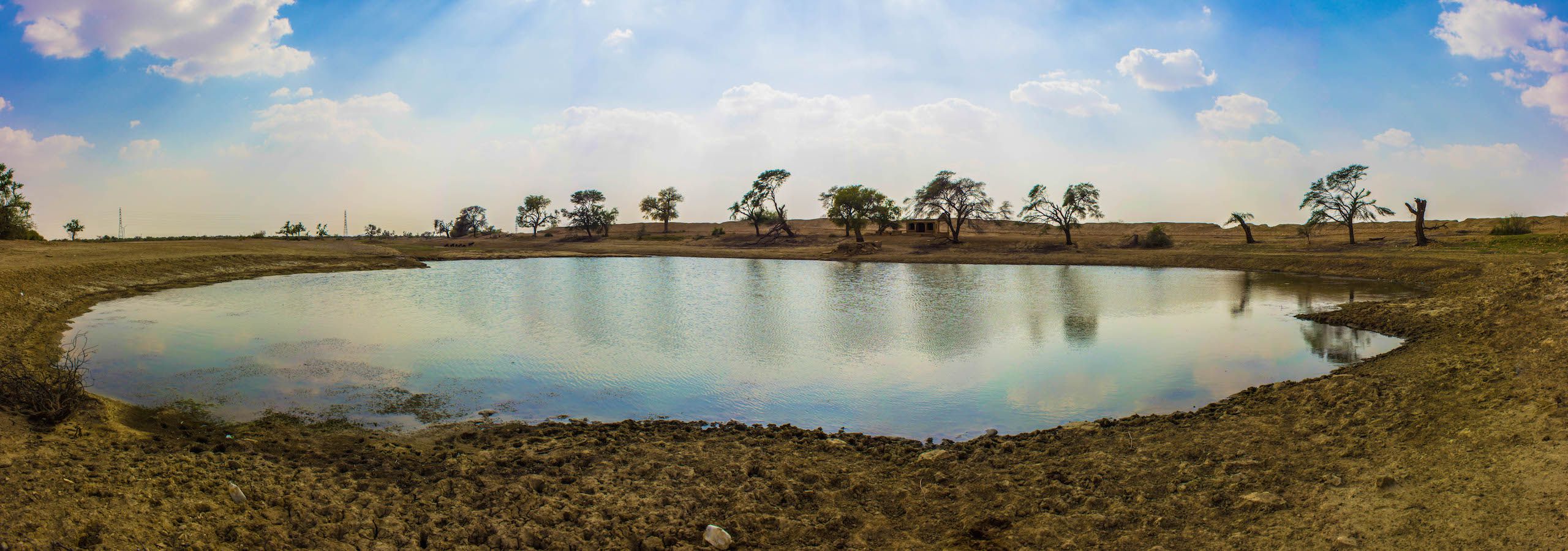 Oasis in the Thar Desert, Jaisalmer, India