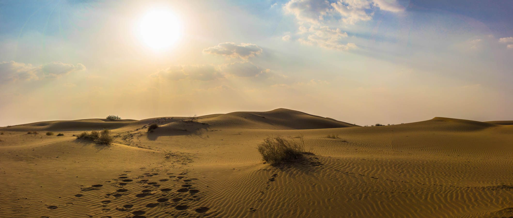 Panoramic view of the sunset over the sand dunes of the Thar Desert, Jaisalmer, India