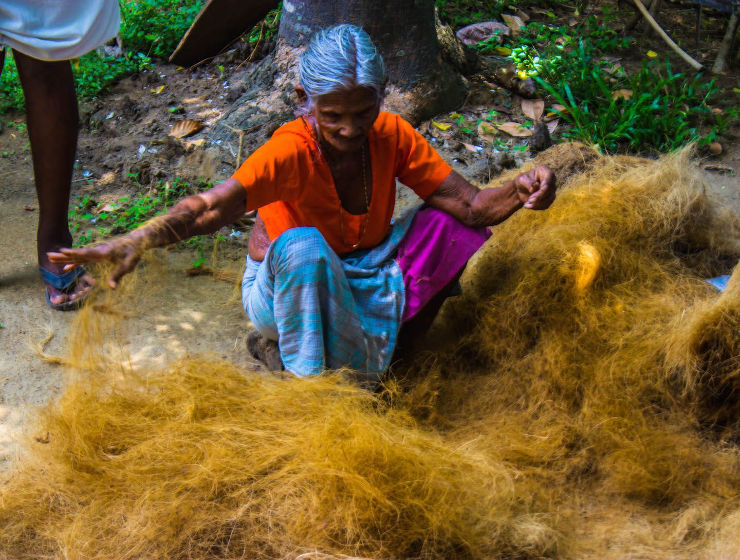 Local separating coconut fibers, Kochi, India