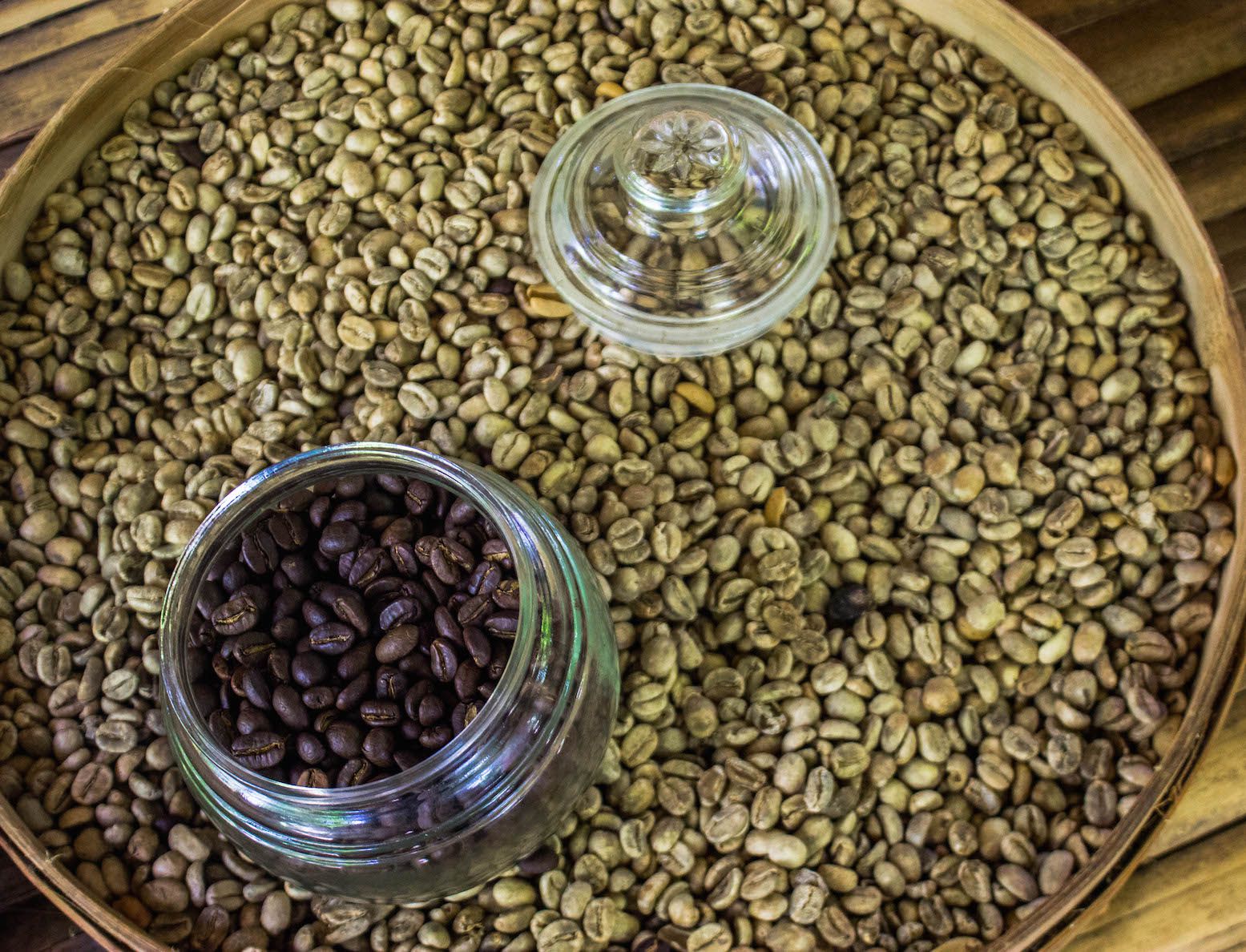 Cleaned and roasted luwak coffee beans, Bali, Indonesia