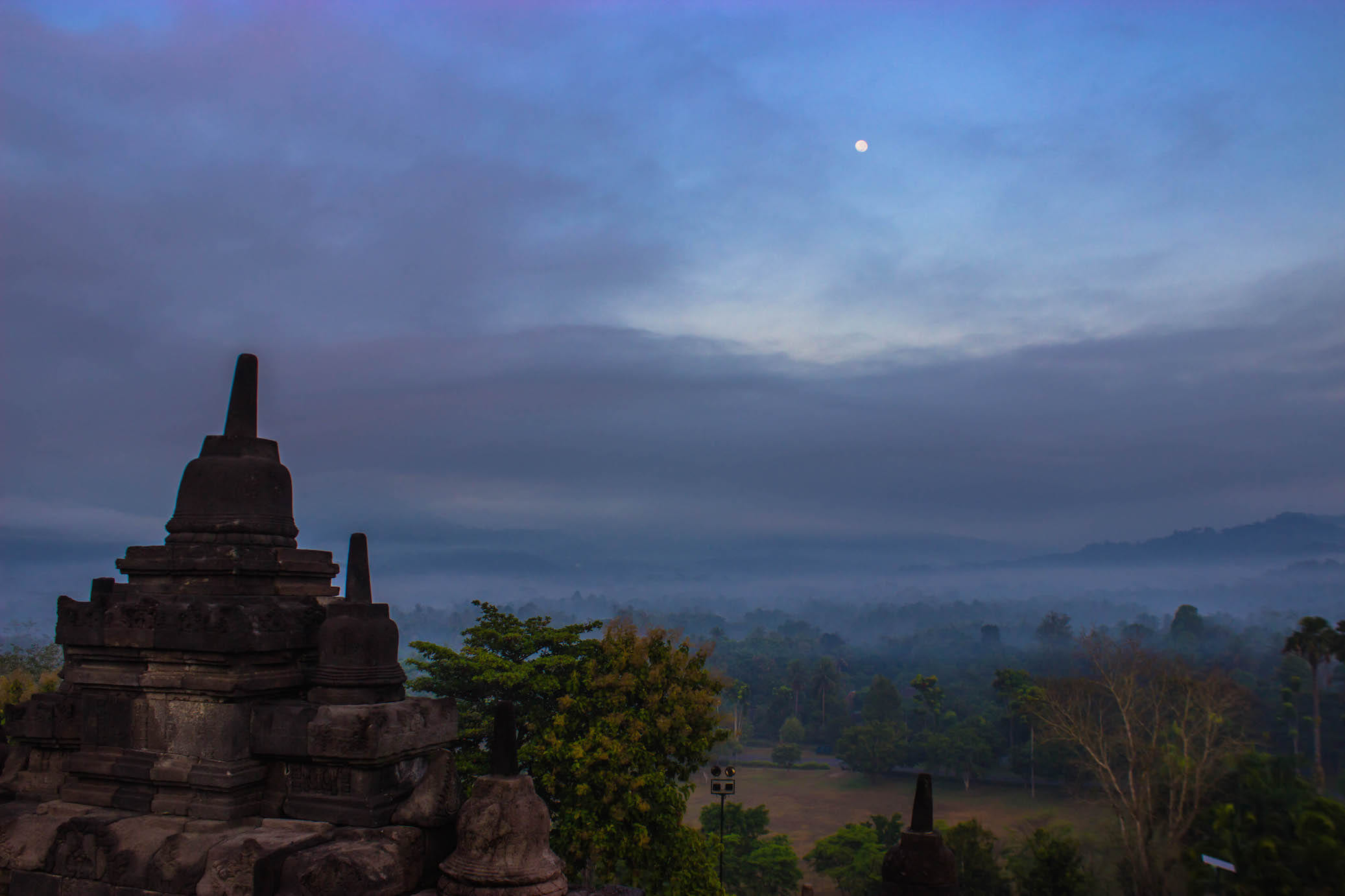 Forest surrounding Borobudur, Indonesia