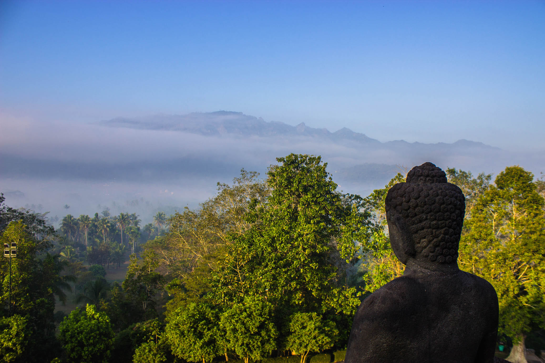 Misty forest around Borobudur, Indonesia