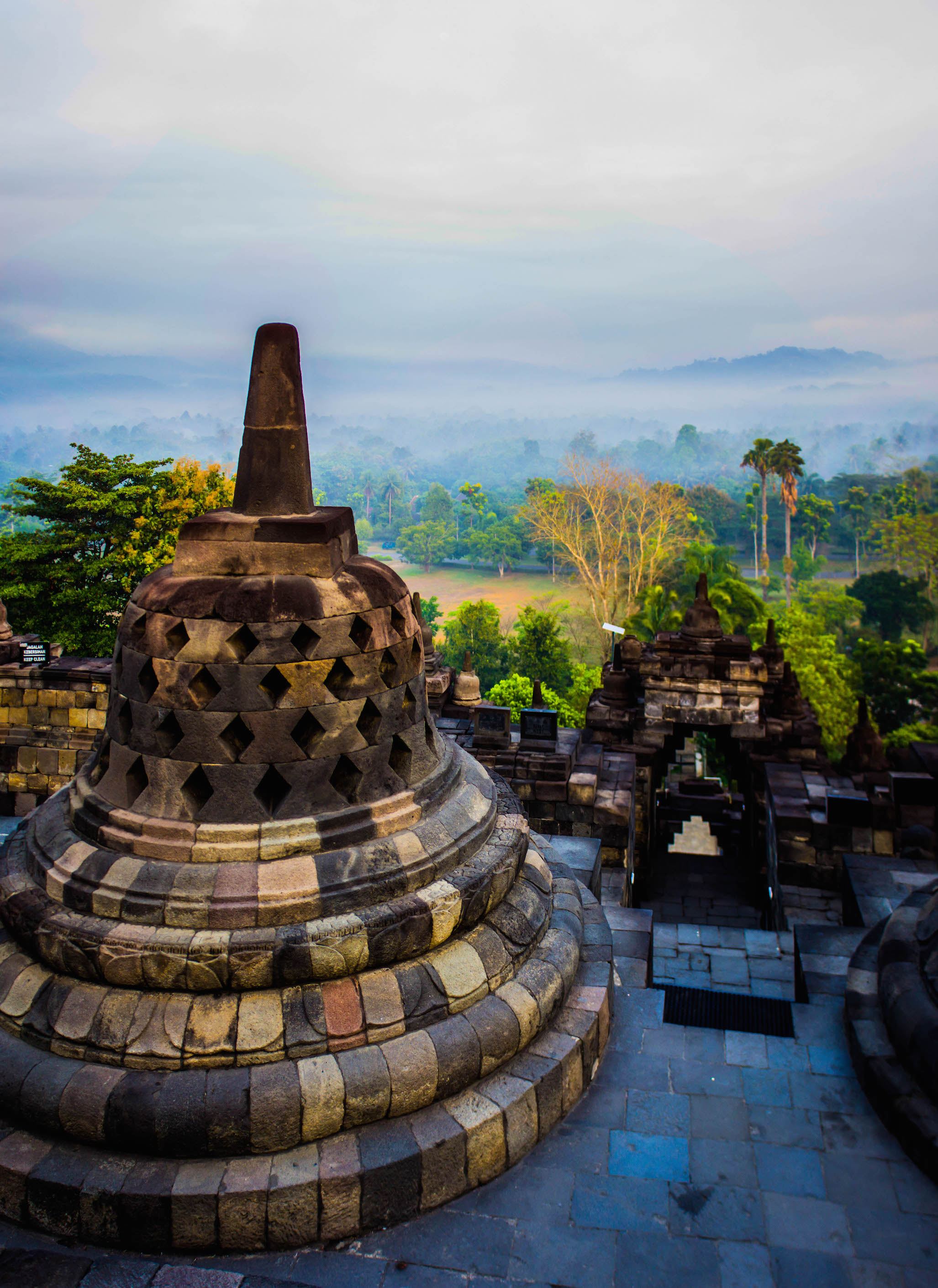 Forest covered with fog, Borobudur, Indonesia