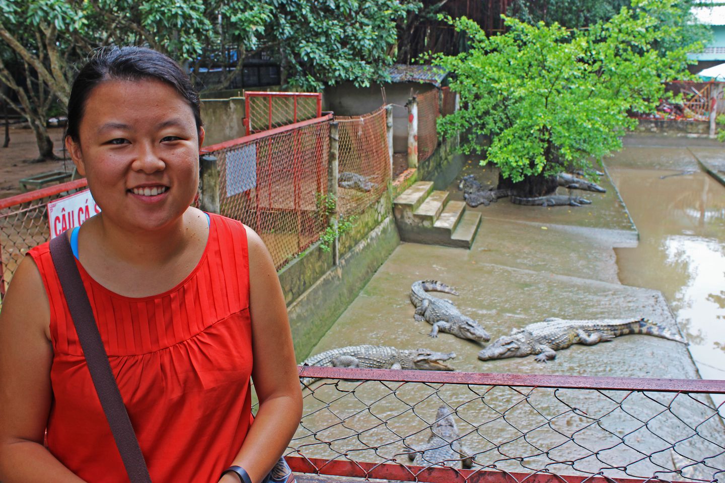 Julie and the crocodiles
