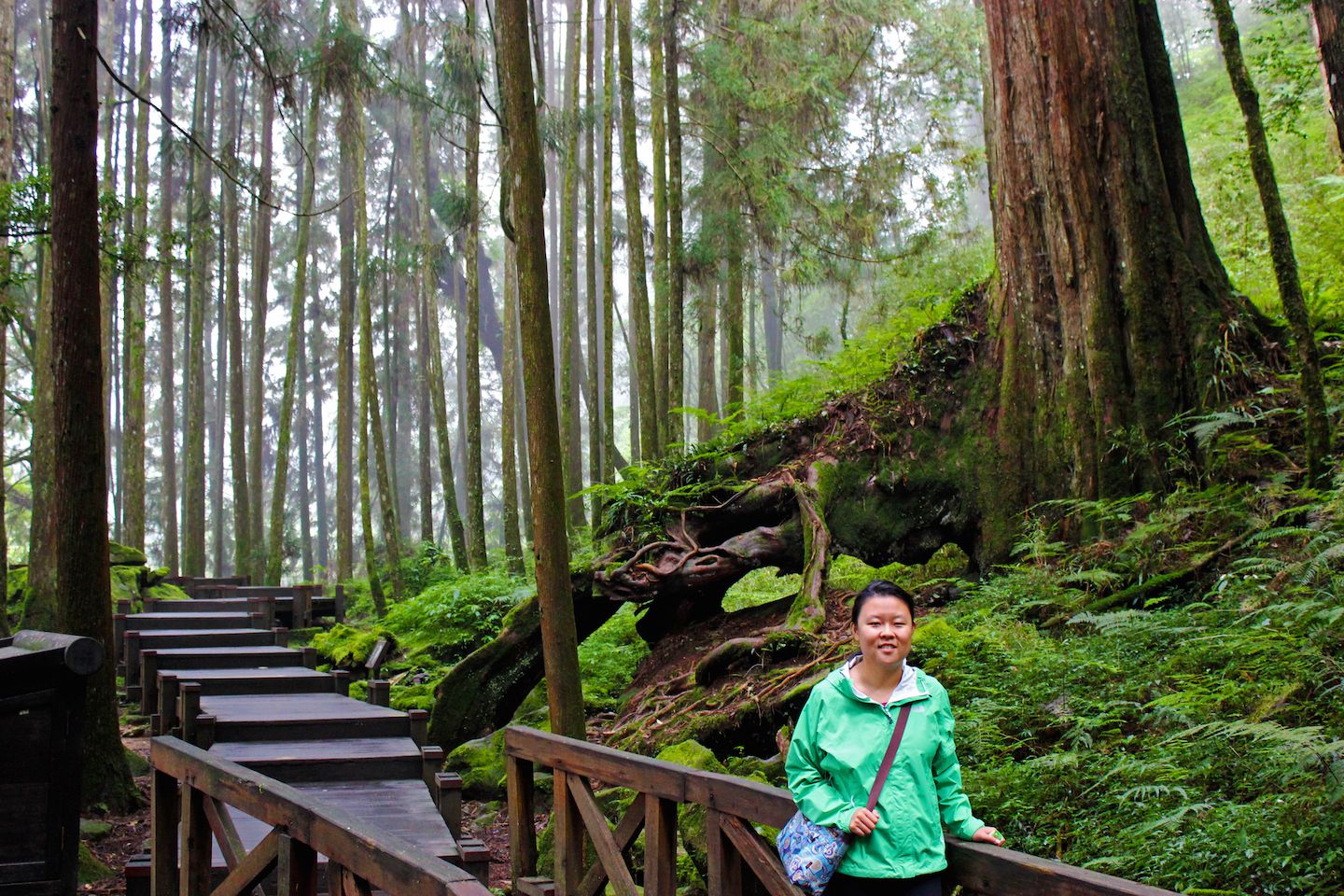 Julie at the Giant Tree Boardwalk