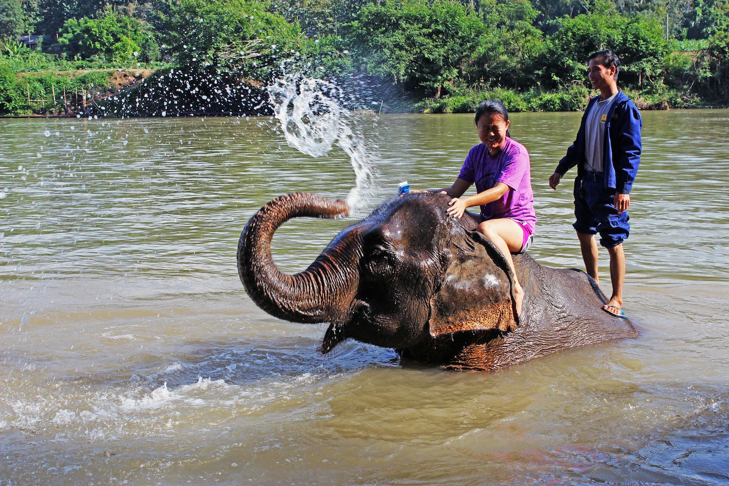 Julie bathing the elephant, Luang Prabang, Laos
