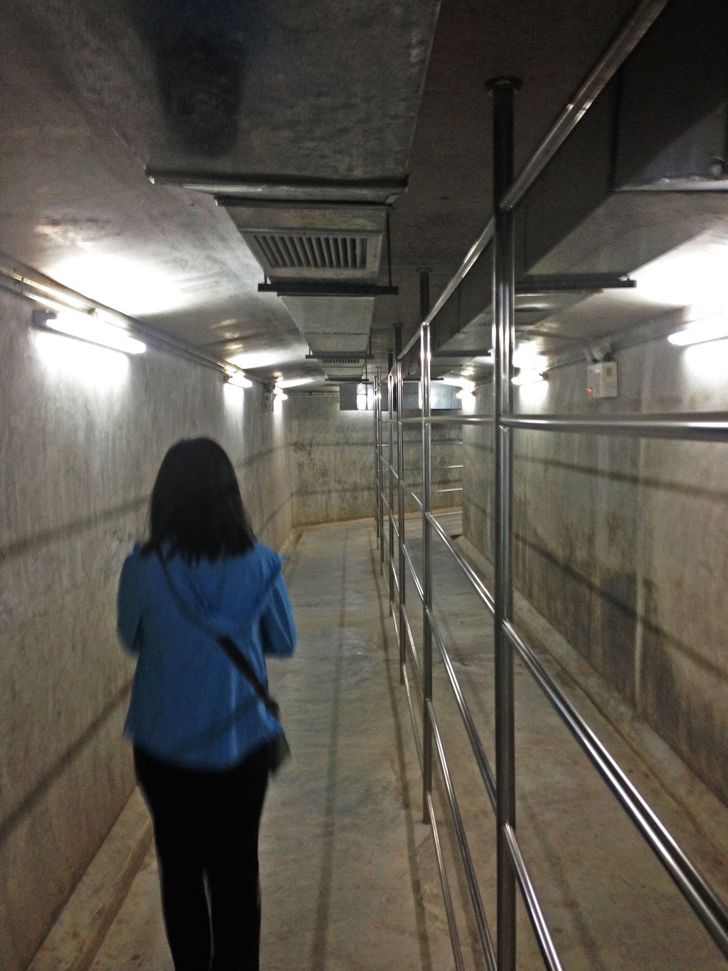 Julie crossing the tunnel at the border between Laos and Thailand