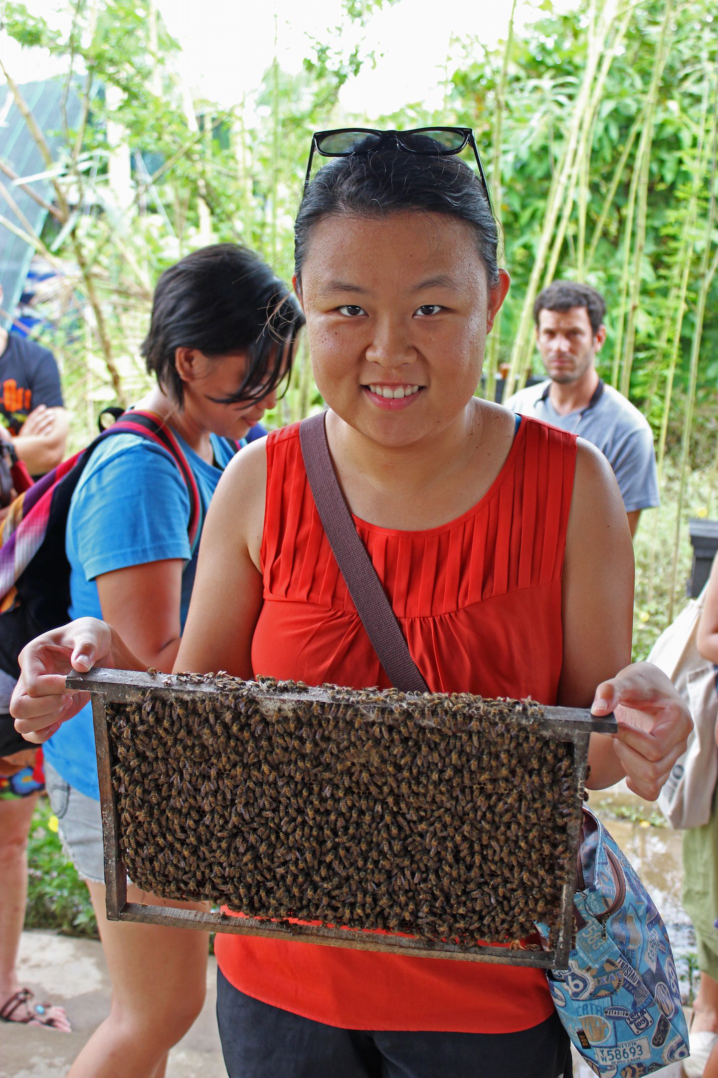 Julie holding the bees