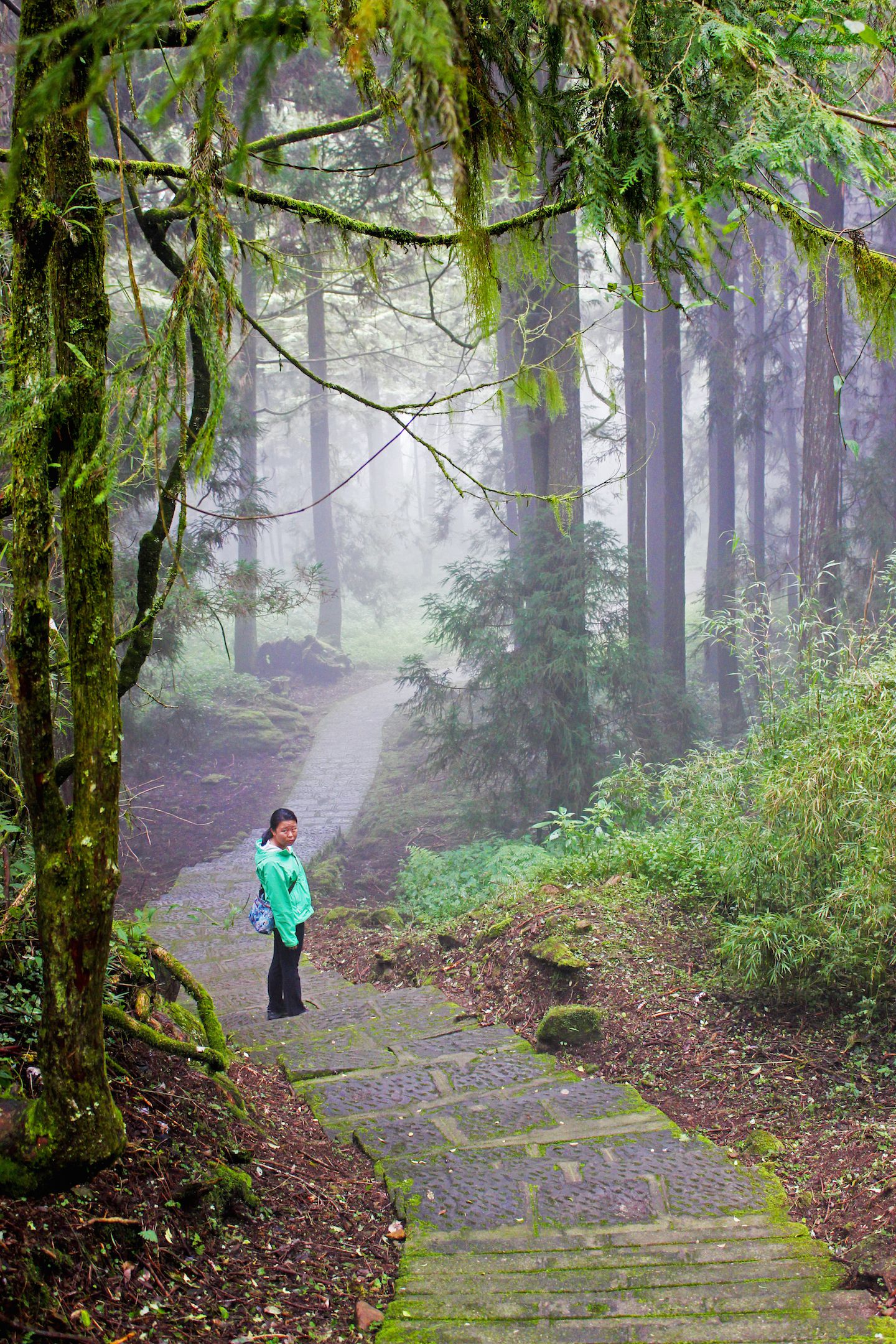 Julie on the way to the Sister Ponds