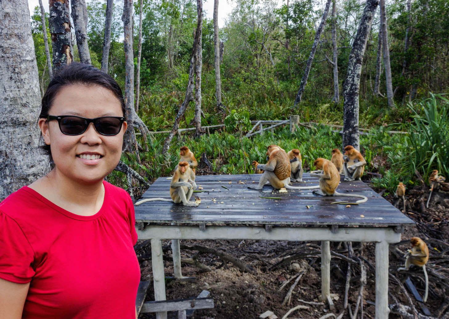 Julie and the proboscis monkey, Labuk Bay, Malaysia