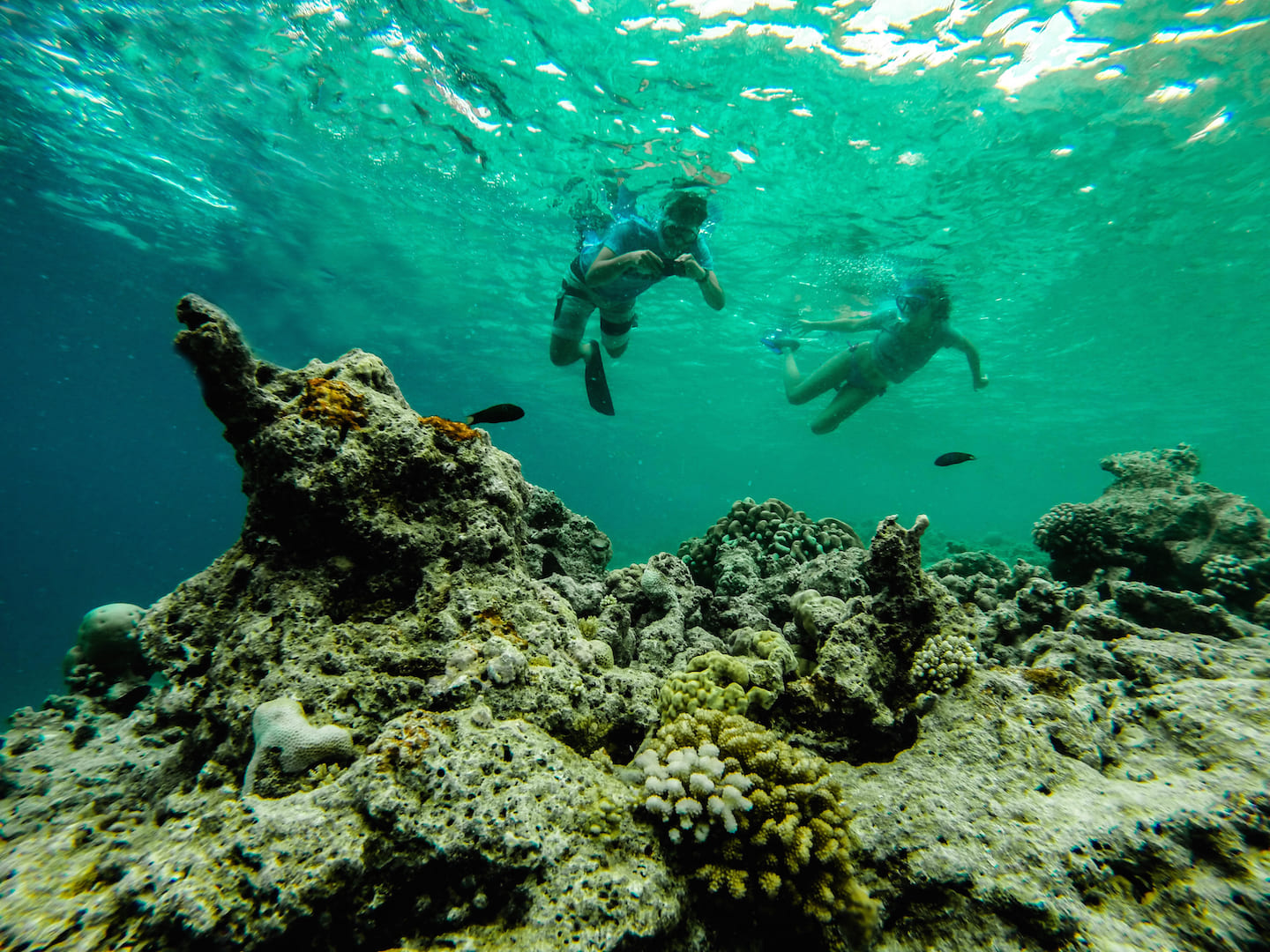 Snorkeling in the Maldives