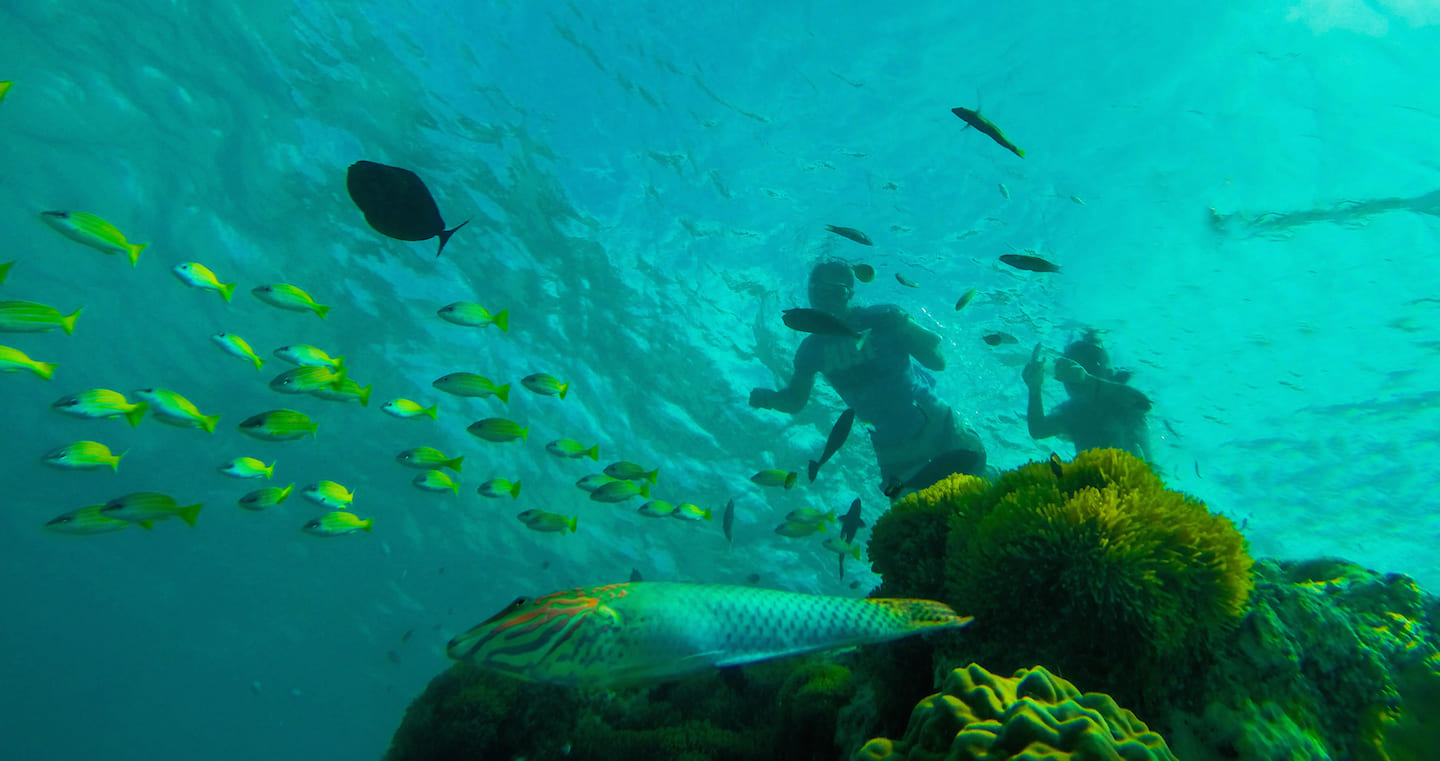 Snorkeling at Maafushi, Maldives