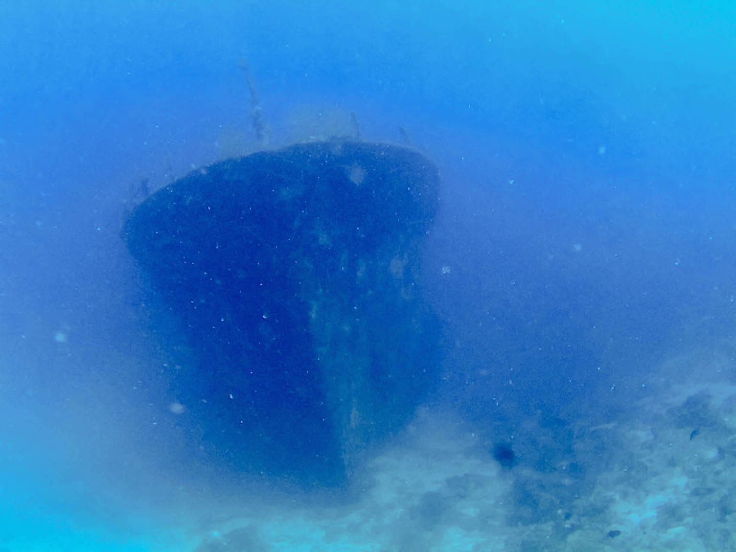 Kuda Giri Wreck, Maldives