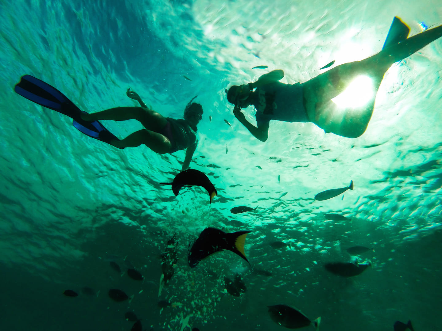 Julie and Carlos observing the fish, Maldives