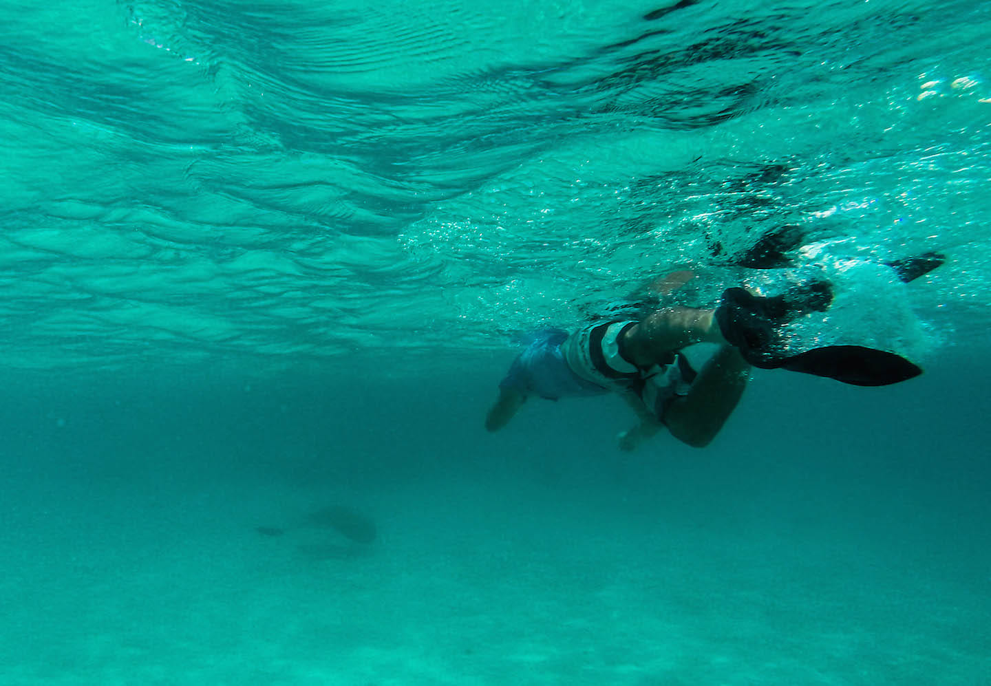 Carlos chasing a stingray, Maldives