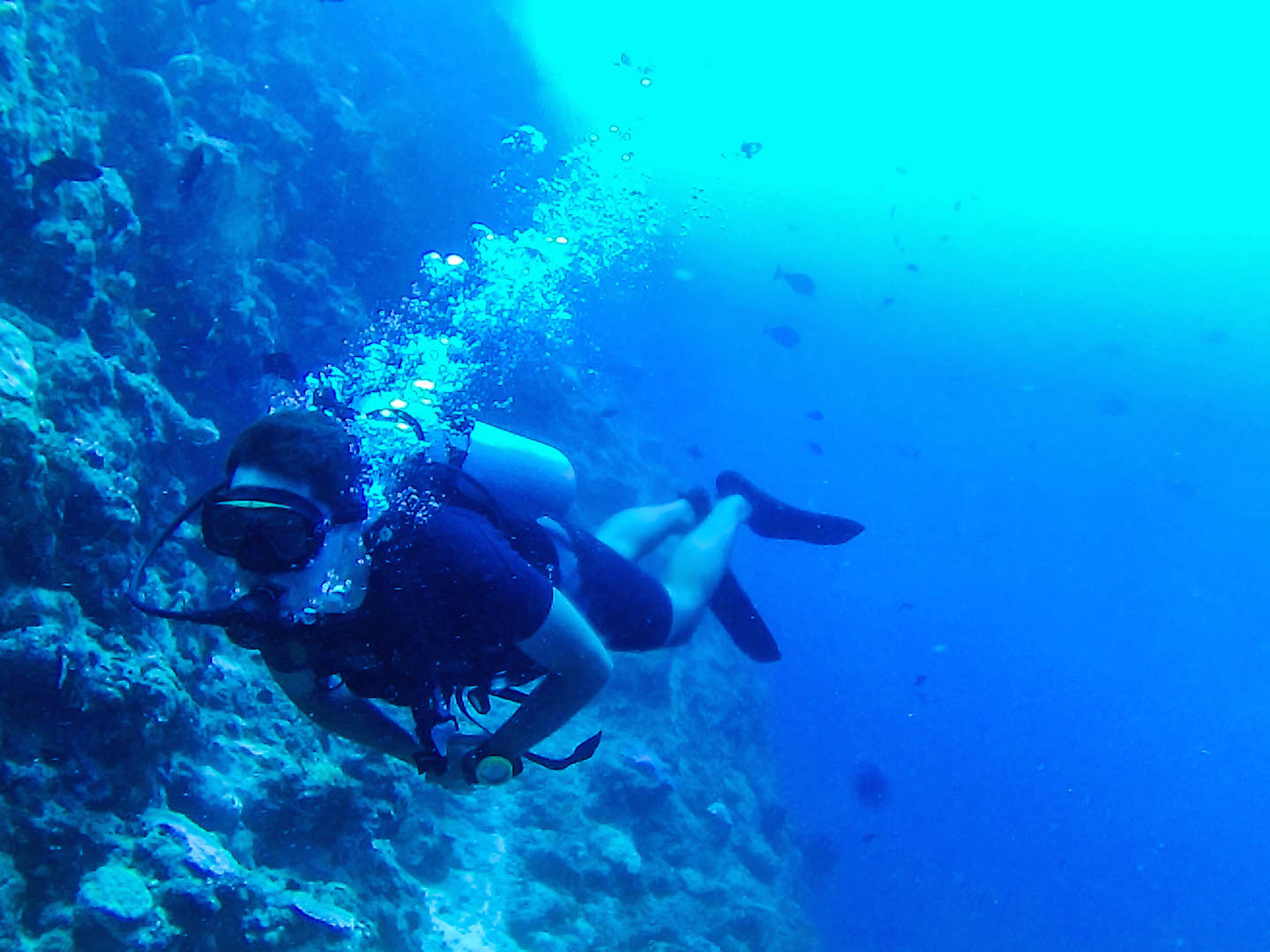 Carlos diving at the reef, Kuda Giri Wreck Dive Site, Maldives