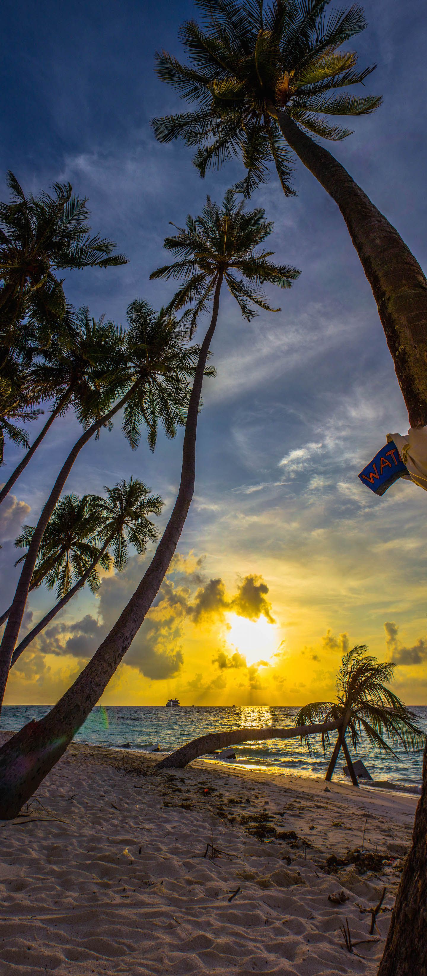 Vertical panorama of the palm trees on Maafushi Bikini Beach, Maldives