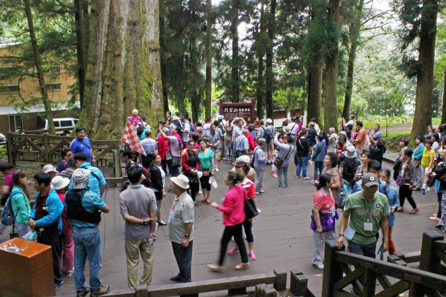 Mob of tour groups