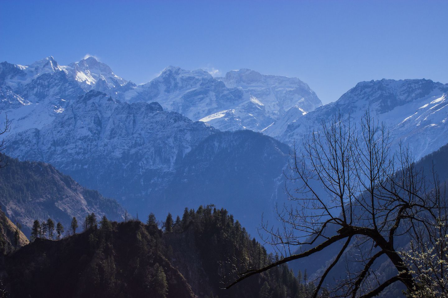 Himlung Himal (7126m) viewed from Temang, Nepal