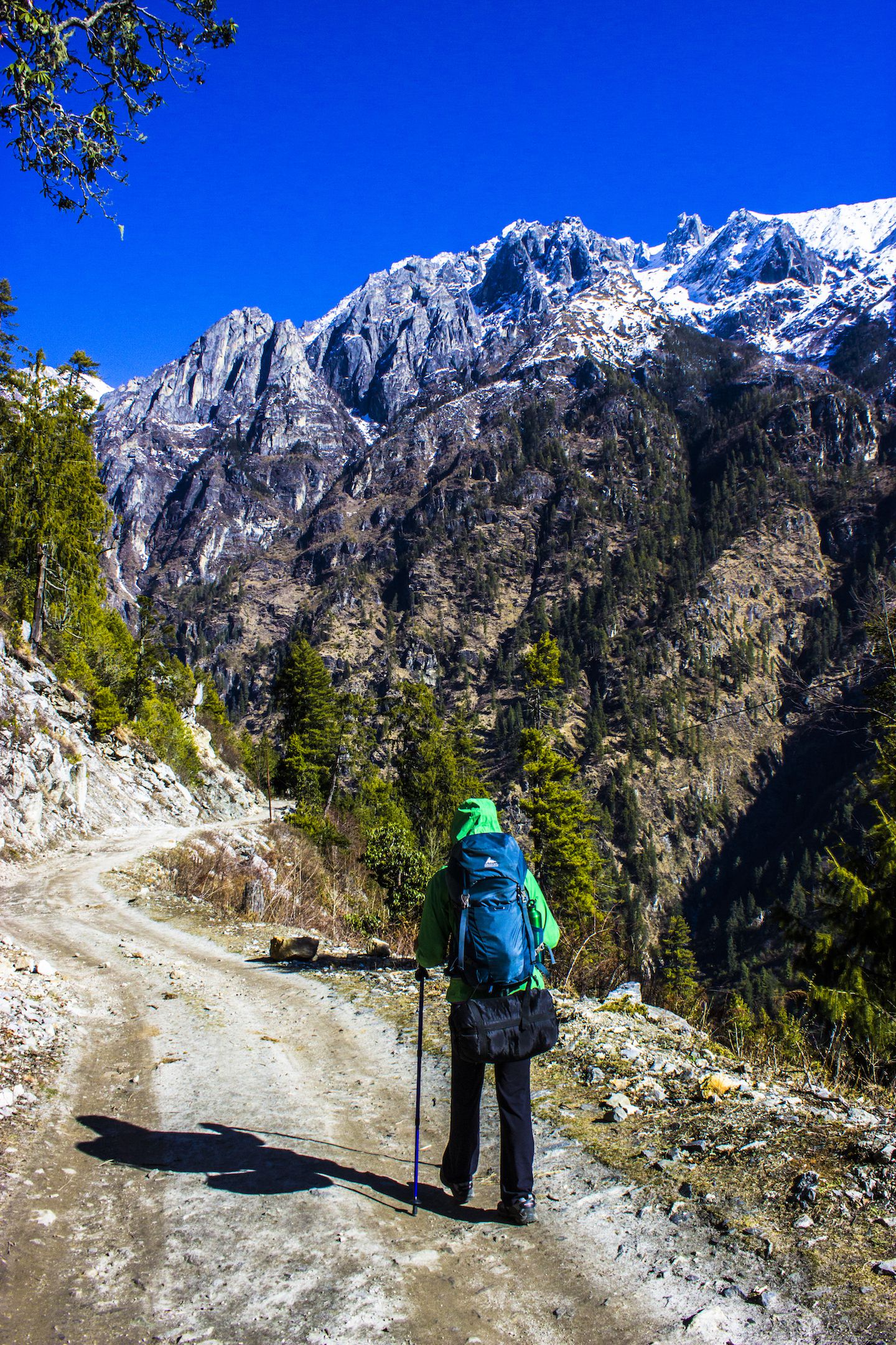 Julie trekking from Temang to Chame, Nepal